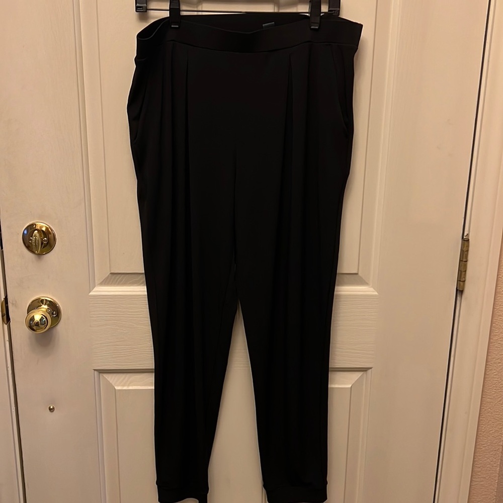 Express Pleated Pull On Polyester Pants - image 1